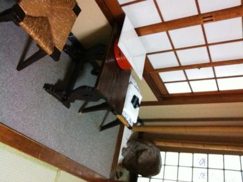 Ryokan Kyoka Kyoto Eksteriør bilde